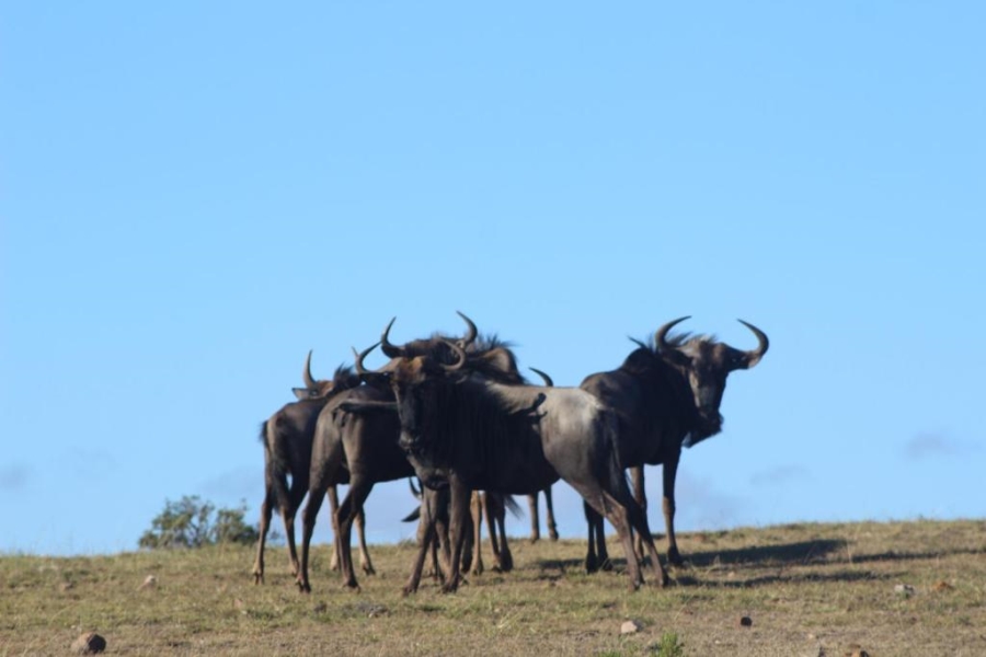  Bedroom Property for Sale in Mossel Bay Rural Western Cape
